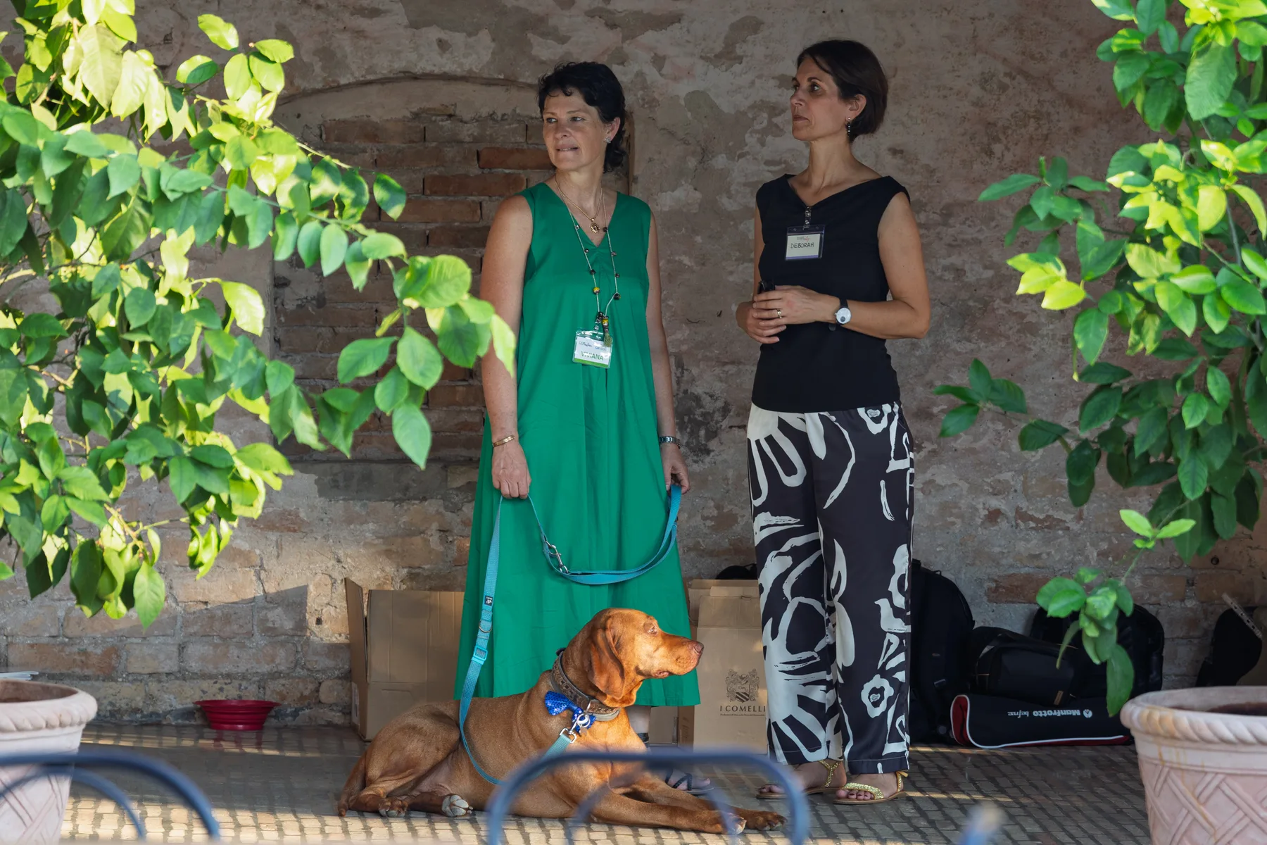 RIParty Veneto 2026 - Foto 79